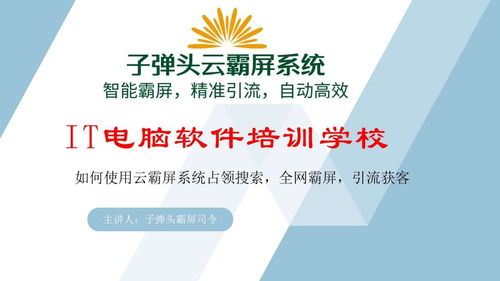 子彈頭云霸屏 信息技術(shù)咨詢服務(wù)如何助力電腦IT技術(shù)培訓(xùn)學(xué)校通過海量信息霸屏獲取生源咨詢